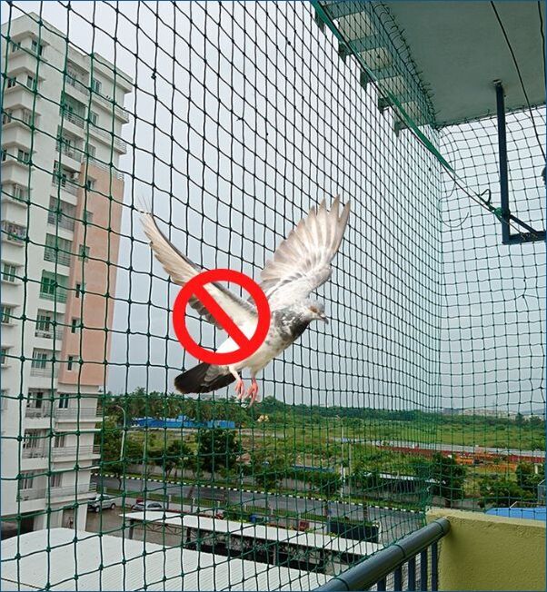 Hanuman Safety Nets & Invisible Grills in Visakhapatnam Vizag